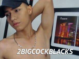 2BIGCOCKBLACKS