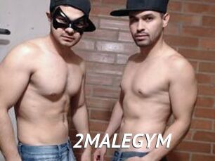 2MALEGYM