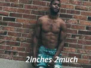 2inches_2much