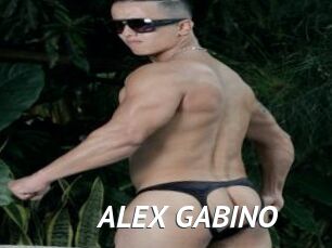 ALEX_GABINO