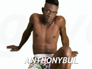 ANTHONYBUIL