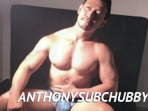 ANTHONYSUBCHUBBY