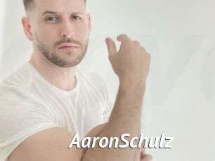 AaronSchulz
