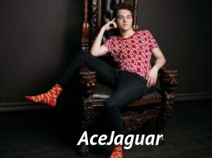 AceJaguar