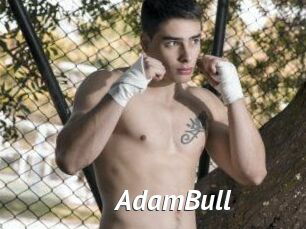 AdamBull
