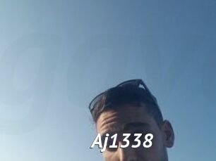 Aj1338