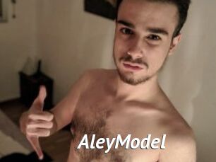 AleyModel
