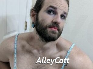 AlleyCatt
