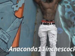 Anaconda11inchescock
