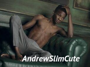 AndrewSlimCute