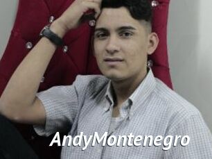 AndyMontenegro