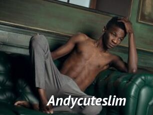Andycuteslim