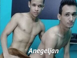Anegeljan