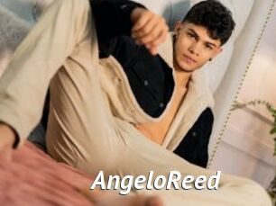 AngeloReed Gay Vod
