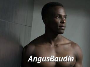 AngusBaudin