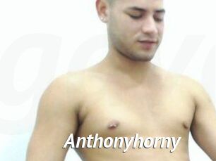 Anthonyhorny
