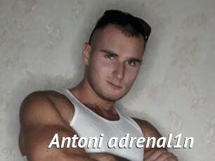 Antoni_adrenal1n
