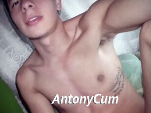 AntonyCum
