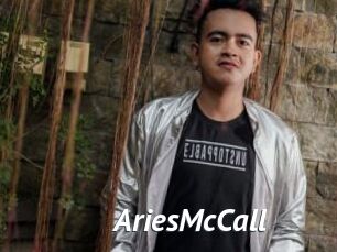 AriesMcCall Gay Vod