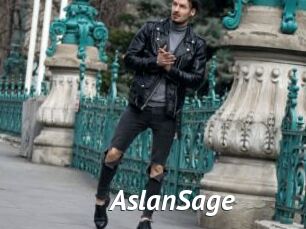 AslanSage Gay Vod