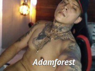 Adamforest