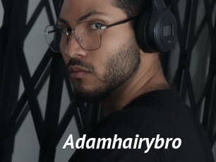 adamhairybro Gay Vod