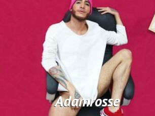 Adamrosse