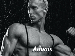 Adonis