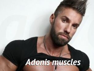 Adonis_muscles