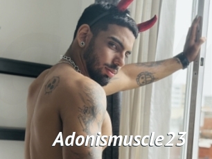 Adonismuscle23