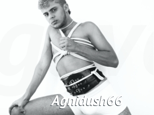 Agnidush66