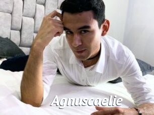 Agnuscaelie