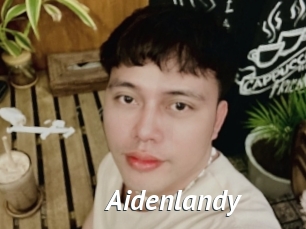 Aidenlandy