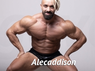 Alecaddison