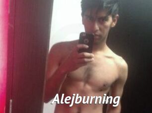 Alejburning