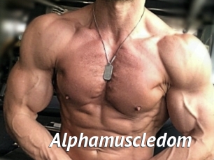 alphamuscledom Gay Vod