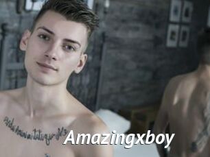 Amazingxboy