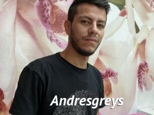 Andresgreys