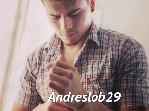 Andreslob29