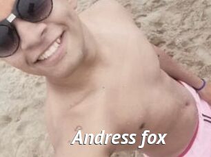 Andress_fox
