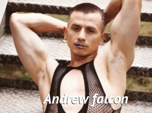 Andrew_falcon