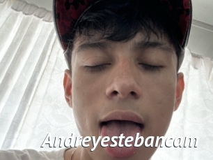 Andreyestebancam