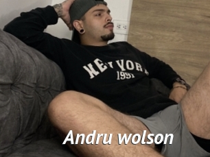 Andru_wolson