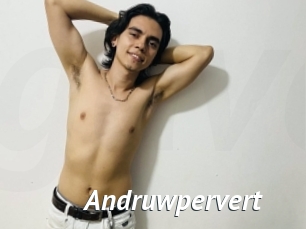Andruwpervert