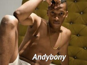 Andybony