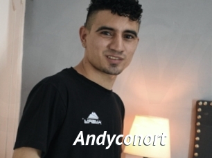 Andyconort