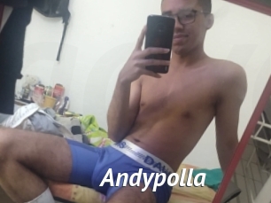 Andypolla