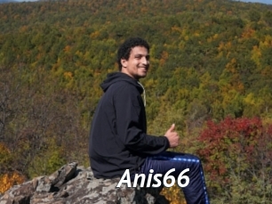 Anis66