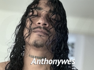 Anthonywes