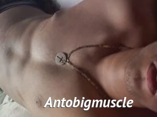 antobigmuscle Gay Vod